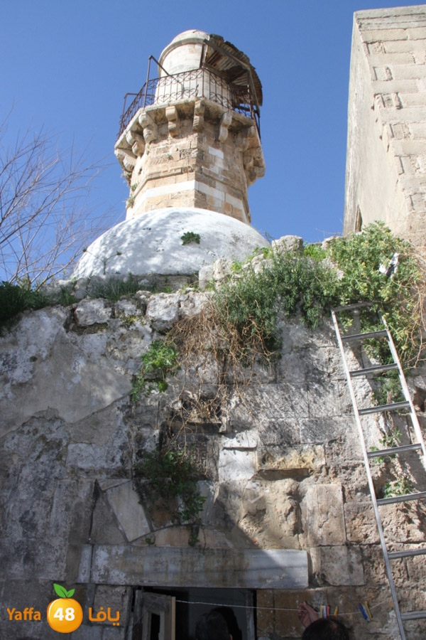 fadel tarekhy mosque (22).JPG